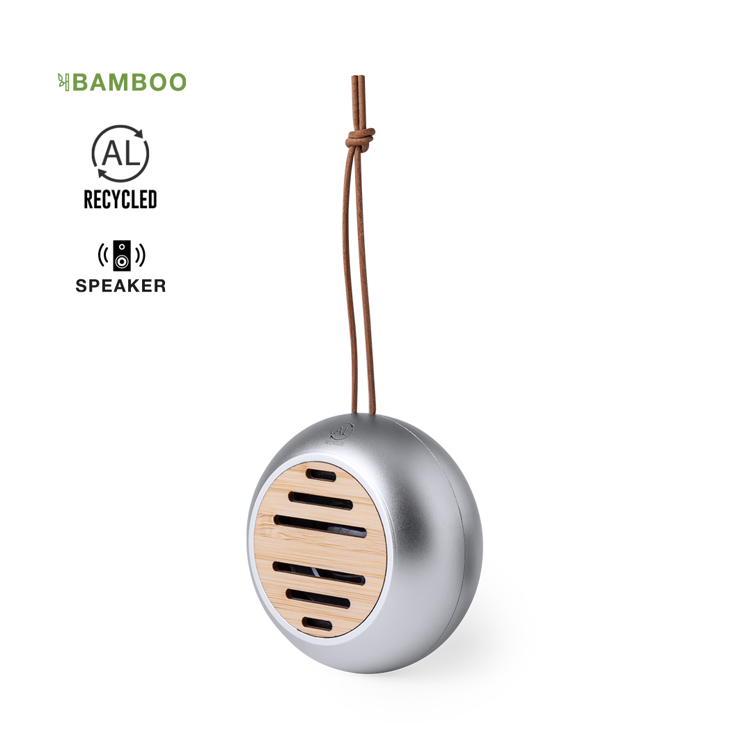 Hiwent Speaker
